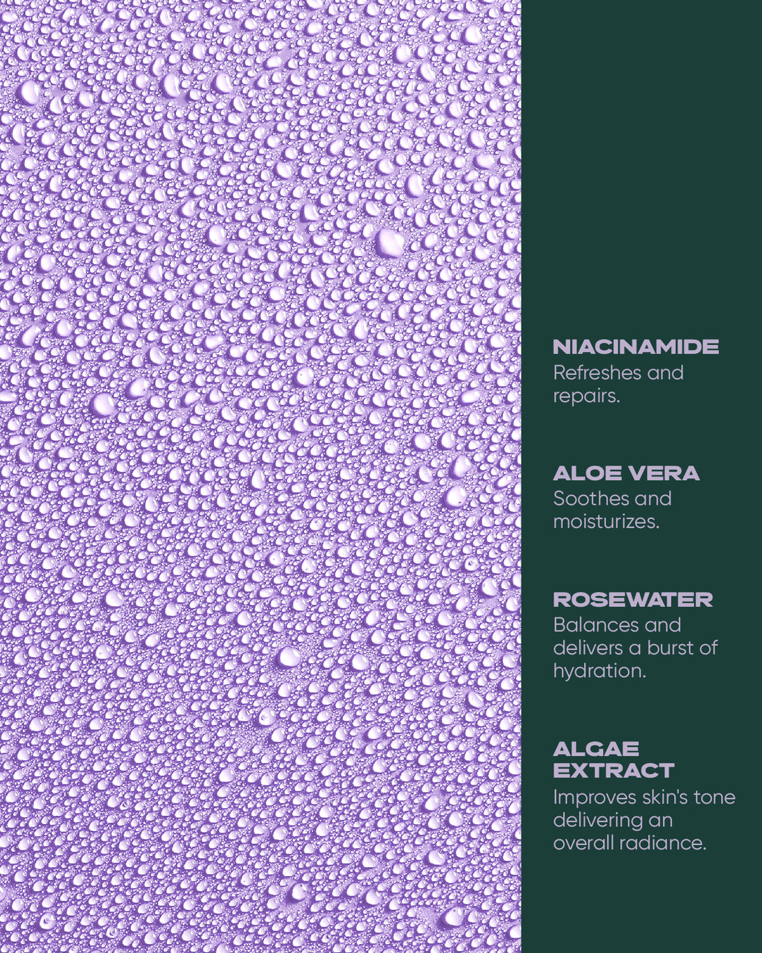 Aloe Rose Moisturizing Face Mist