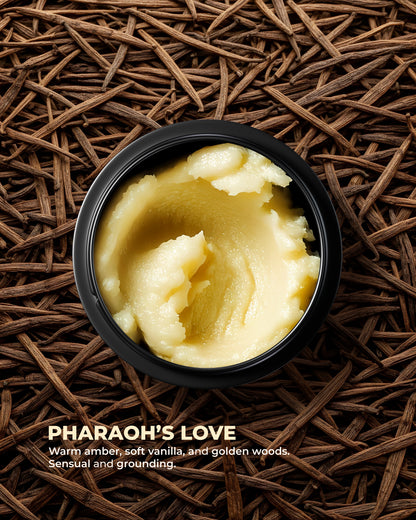 Indulgent Whipped Body Butter Set